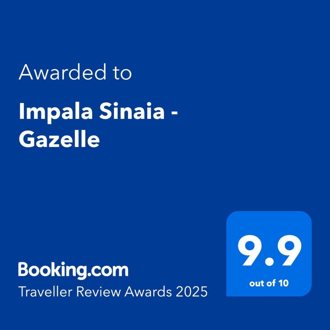 Impala Sinaia - Gazelle Apartment Exterior photo